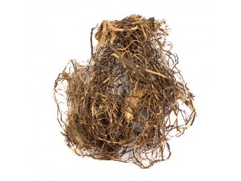 Maralno root - the main component of the Gel Maral